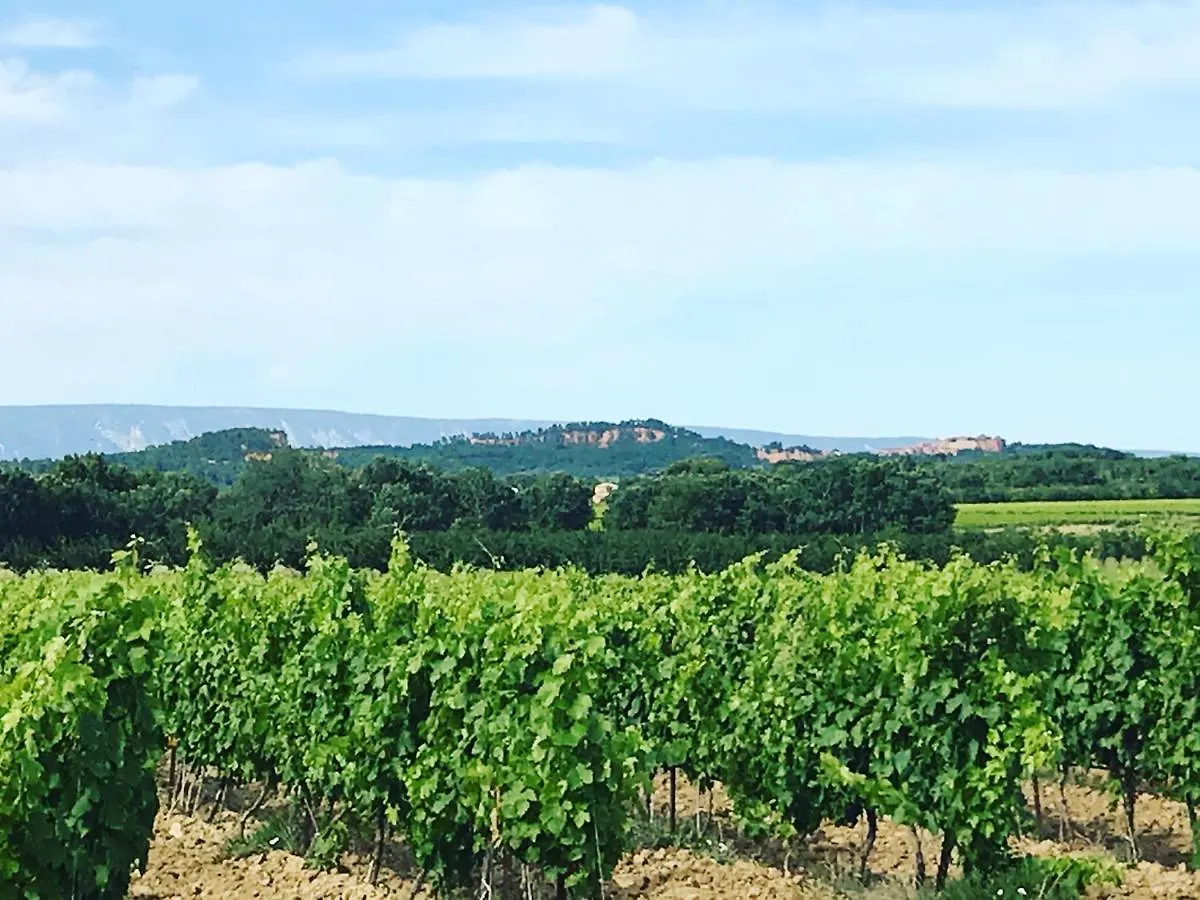 Villa Luberon Saint-Saturnin-les-Apt Guest house
